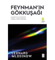 Feynmanın Gökkuşağı