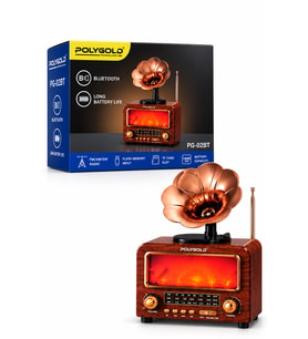 PG-02BT Bluetooth Gramofon Nostalji Speaker FM/AM/SW Radyo USB TF Kart 1800 mAh