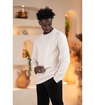 Paul Martin Modal Esnek Kumaş Regular Fit Mevsimlik Sweatshirt