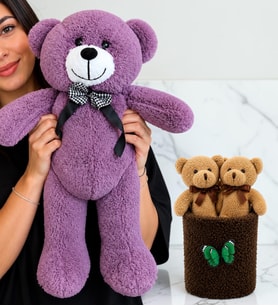 Büyük Boy Mor Peluş Ayıcık ve Peluş Saksıda Ayıcık Buketi Sevgiliye Kadına Arkadaşa Hediye
