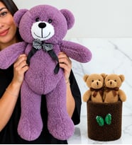 Büyük Boy Mor Peluş Ayıcık ve Peluş Saksıda Ayıcık Buketi Sevgiliye Kadına Arkadaşa Hediye