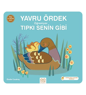 Yavru Ördek Öğreniyor Tıpkı Senin Gibi