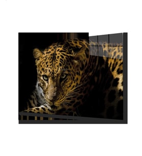  Leopar Hayvan Cam Tablo