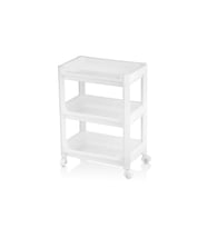 RAFTY GENİŞ 3 KATLI TEKERLEKLİ SEPET ORGANİZER DÜZENLEYİCİ RAF ÜNİTESİ 352X220X480MM (5343)