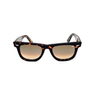 BLACK BLK8550 C5 Unisex Güneş Gözlüğü