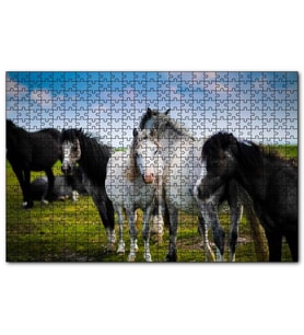 Cakapuzzle  Çayırda Siyah ve Beyaz Atlar  Puzzle Yapboz MDF (Ahşap) (120 Parça)