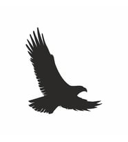 Uçan Kartal Sticker 25x10 cm Siyah (Siyah-Siyah)