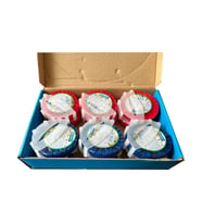 Econet Wc Tuvalet Kokusu - Koku Giderici - Deodorizer - 50 Gr - 12 Adet