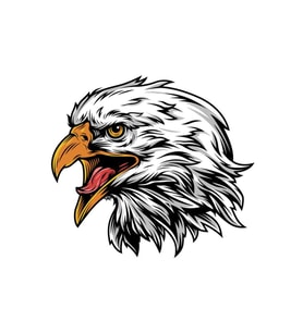 Eagle Kartal Oto, Motorsiklet, Araç, Laptop Sticker 19CM