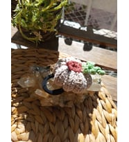 Sonbahar Temalı Tığ Örgü Balkabağı Toka (Açık Bej)