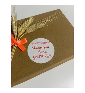 Paketlendim Müsaitsen Sana Geliyorum Yuvarlak Yapışkanlı Etiket 3x3 cm 150 adet