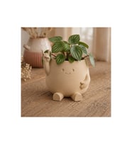 Alvera Smiley Face Planter – 3D Baskı Gülümseyen Karakterli Saksı-Bej