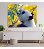 Panda Dekoratif Kanvas Tablo