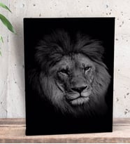 BK Gift Aslan Tasarımlı Dekoratif Mini Kanvas Tablo 15x20cm-2