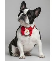 Rudolph Köpek Papyon Tasması  Kırmızı Fiyonk Boyun Aksesuarı  Noel Temalı Köpek Süsü  Orta ve Büyük Irklar İçin