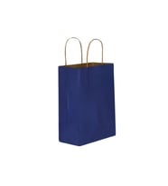 Kraft Burgu Saplı Çanta Esmer Lacivert 20x24x10cm 50 ADET