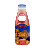 Fransa Temalı Magnet Şişe Açacak (Karışık)