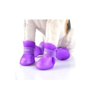 Dodes Silikon Kedi Köpek Ayakkabısı