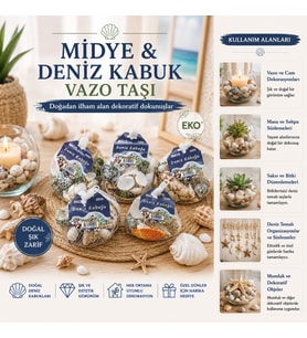 15 ADET FİLELİ RENKLİ MİX EKO MİDYE - DENİZ KABUK VAZO TAŞI (5668)