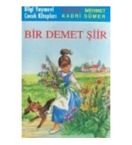 Bir Demet Şiir