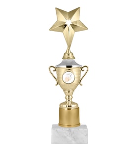 ODAK KUPA - Genel Kupalar - GG-004 A - 28 cm