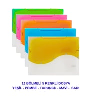 S Seri Lastikli 12 Bölmeli Dosya 5 Renk