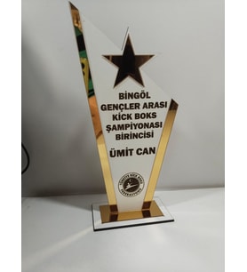 HEDİYELİK PLAKET karete/boks/judo/muay thai/kick boks Turnuvalarına özel(Kişiye özel İsim yazılı)