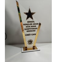 HEDİYELİK PLAKET karete/boks/judo/muay thai/kick boks Turnuvalarına özel(Kişiye özel İsim yazılı)