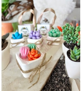 Mumelia Candles Mini Taştozu Kasede Kaktus - Doğal Soya Hediyelik Mum - 15 Adet