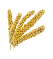 Kuşlar İçin Ak Dal Darı 500 GR