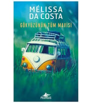 Gökyüzünün Tüm Mavisi
