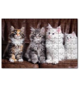 Cakapuzzle Kahverengi Deri Koltukta Sevimli 4 Kedi Puzzle Yapboz MDF (Ahşap) (120 Parça)