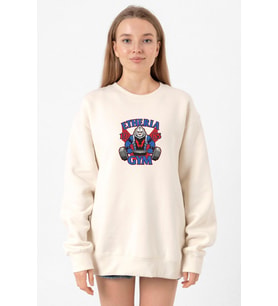 He Man Etheria Gym 1985 Ekru Kadın 2ip Sweatshirt