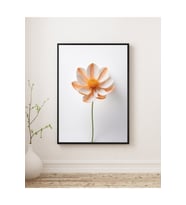 Tablo  Ahşap Çerçeveli Tablo - Çiçek Temalı Minimalist,Modern Tablo-Çerçeveli Poster (Karışık)