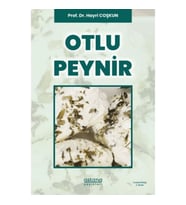 Otlu Peynir