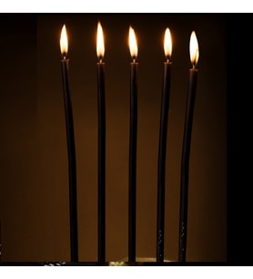 YÜKSEK KALİTE 16PCS CHURCH BLACK CANDLES 16 ADET SİYAH ARINMA MUMU SİYAH KİLİSE MUMU SİYAH AYİN MUMU