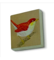 Kuş Baskılı Doğaltaş  Magnet(KRG-157)Buzdolabı Süsü