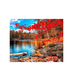 Göl Kenarı Kırmızı Manzara Çerçeveli 60x75 Sayılarla Boyama Hobi Seti