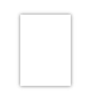 Bigpoint Fon Kartonu 50x70cm 160 Gram Beyaz x 100 Adet (Renksiz)