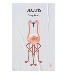 Becayiş