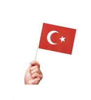 10 adet Sopalı Kağıt Küçük Türk Bayrağı 19x23cm