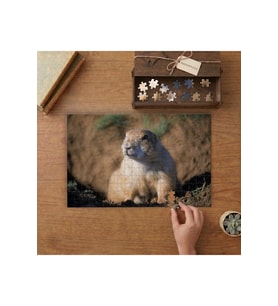 Çayır Köpeği - Seviml Hayvan Tasarımı 240 parça Ahşap Puzzle Ahşap Kutuda MP05340