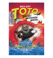 Ninja Kedi Toto – Gizemli Mücevher Hırsızı