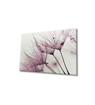 Miyrem Glasses Collection -A1^#  Pembe Karahindiba Cam Tablo (Çok Renkli)
