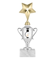ODAK KUPA - Genel Kupalar - GG-003 B - 26 cm