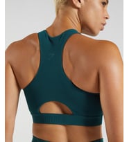 Gymshark 315 performance bra