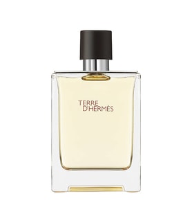 Hermes Terre D'Hermes Edt 100 Ml Erkek Parfüm