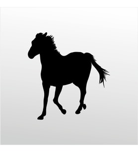 Folyo Sticker At 40cm Uzunluk (Karışık)