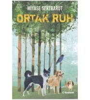Sisin Sakladıkları 2 - Ortak Ruh - Miyase Sertbarut - Tudem Yayınları