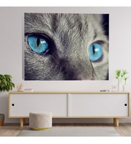 Yakın Çekim Mavi Gözlü Kedi Dekoratif Kanvas Tablo
